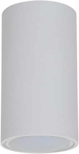 Светильник ЭРА OL15 GU10 WH накладной потолочный под лампу GU10, алюминий, цвет белый (1/40)
