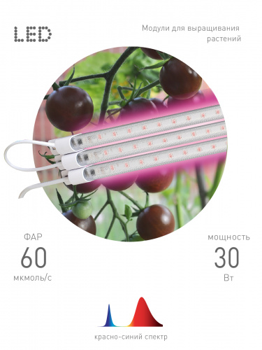 Светильник ЭРА ФИТО модульный для растений FITO-3х10W-LINE-RB90 красно-синего спектра 30 Вт (1/40) фото 3