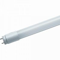 Лампа светодиодная ЭРА smd T8-24w-865-G13 1500mm ECO (1/30/600) (Б0032979)