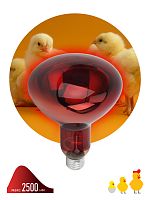 Инфракрасная лампа ЭРА ИКЗК 220-250 R127, кратность 1 шт. для обогрева животных и освещения, 250 Вт, Е27