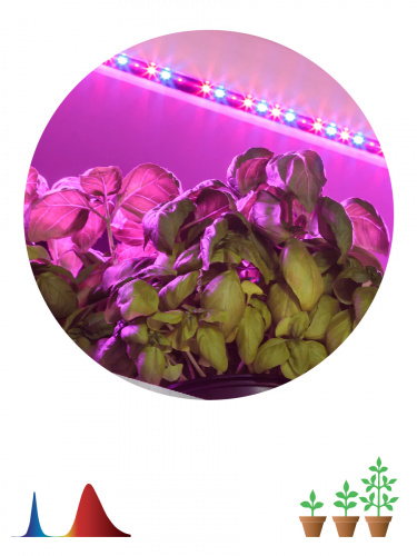 Лента светодиодная ЭРА для растений FITO-Strip Light-RB-2m красно-синего спектра, 2 м, IP65 (1/60) (Б0057282) фото 22