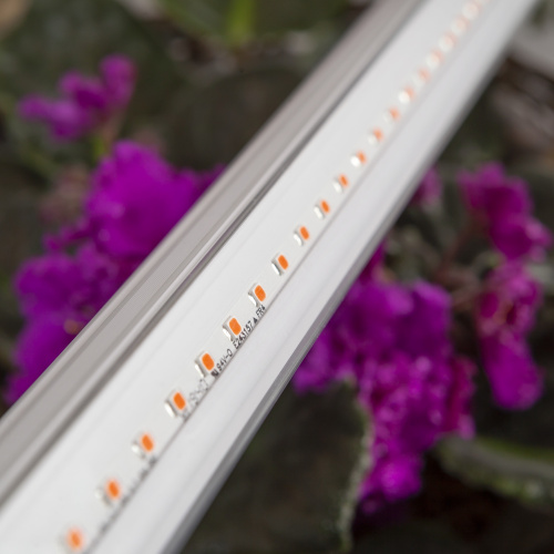 Светильник светодиодный ЭРА FITO-14W-T5-Ra90 для растений фитолампа линейная полного спектра 14 Вт Т5 (1/30) (Б0049312) фото 3