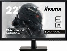 Монитор Iiyama 21.5" G-Master G2230HS-B1 черный TN LED 0.8ms 16:9 HDMI M/M матовая 250cd 178гр/178гр 1920x1080 D-Sub DisplayPort FHD 3.1кг