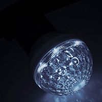 Лампа-строб NEON-NIGHT Е27 Ø50мм Белая (1/100) (411-125)
