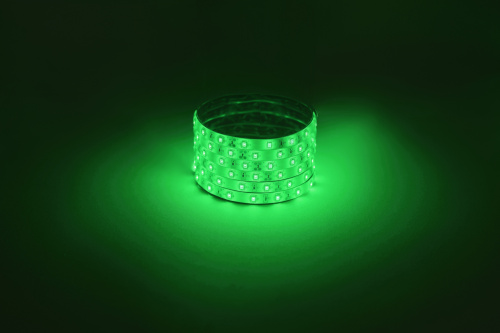 Лента светодиодная ЭРА LS2835 -4,8-60-12-G-IP65-1 year-5m, зеленый, 5м (1/80) (Б0059898)