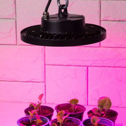 Фитопрожектор для растений светодиодный ЭРА FITO-50W-RB-LED-UFO красно-синего спектра 50 Вт IP65 (1/10) (Б0053280) фото 5