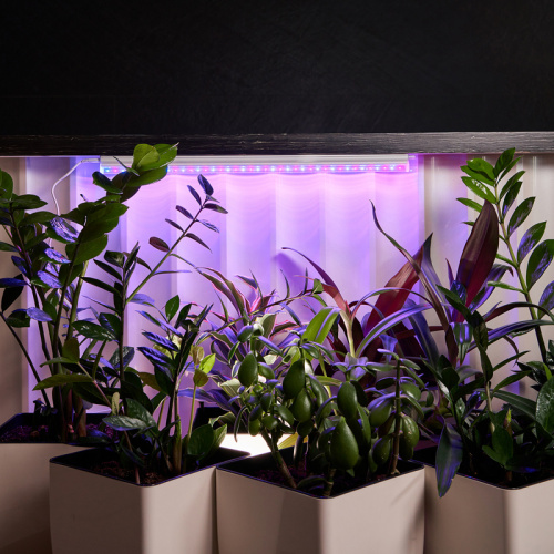 Светильник светодиодный для растений REXANT Green line 14 Вт LED с комплектом креплений (1/50) (616-001) фото 2