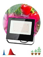 Прожектор светодиодный ЭРА FITO-100W-RB-LED для растений, для цветения и плодоношения красно-синего спектра 100 Вт (1/10) (Б0046369)