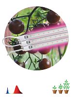Светильник светодиодный ЭРА ФИТО модульный для растений FITO-3х10W-LINE-RB90 красно-синего спектра 30 Вт (1/40) (Б0050924)