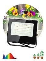 Прожектор светодиодный ЭРА FITO-50W-Ra90-LED для растений, для цветения и плодоношения полного спектра 50 Вт (1/10) (Б0047875)