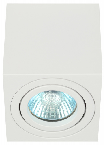 Светильник ЭРА настенно-потолочный спот OL22 WH MR16/GU10, белый, поворотный (1/50) (Б0054394)