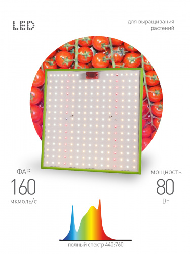 Квантум борд ЭРА FITO-80W-LED-QB Quantum board фитопрожектор полного спектра 80 Вт 3500К (1/10) (Б0053285) фото 2